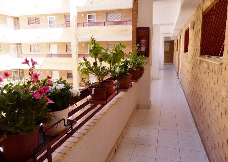 Apartment - Resales - Torrevieja - Torrevieja