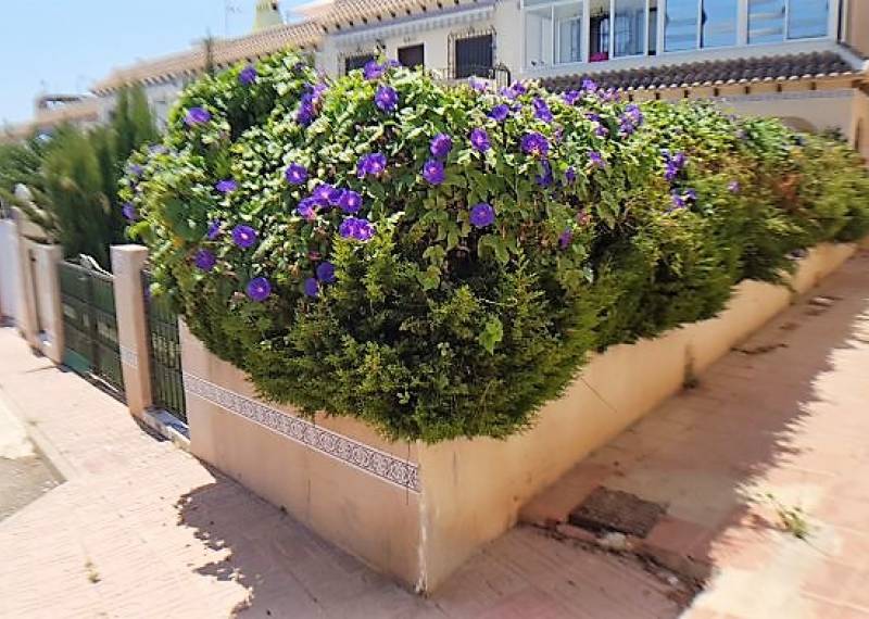 Bungalow - Ventas - Torrevieja - La Mata