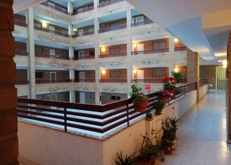 Apartment - Resales - Torrevieja - Torrevieja