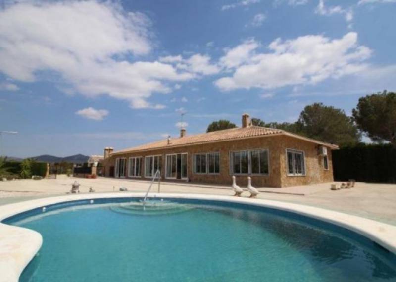 Casa de Campo - Ventas - Hondón de los Frailes - Hondón de los Frailes