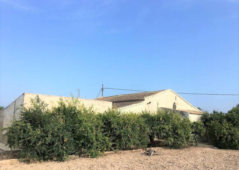 Деревенский дом - Sale - Elche - ElcheAlicanteValenciaSpain